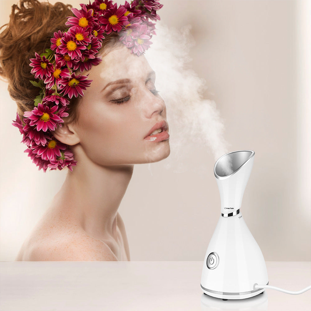 Facial Hydration Steam Beauty Device
