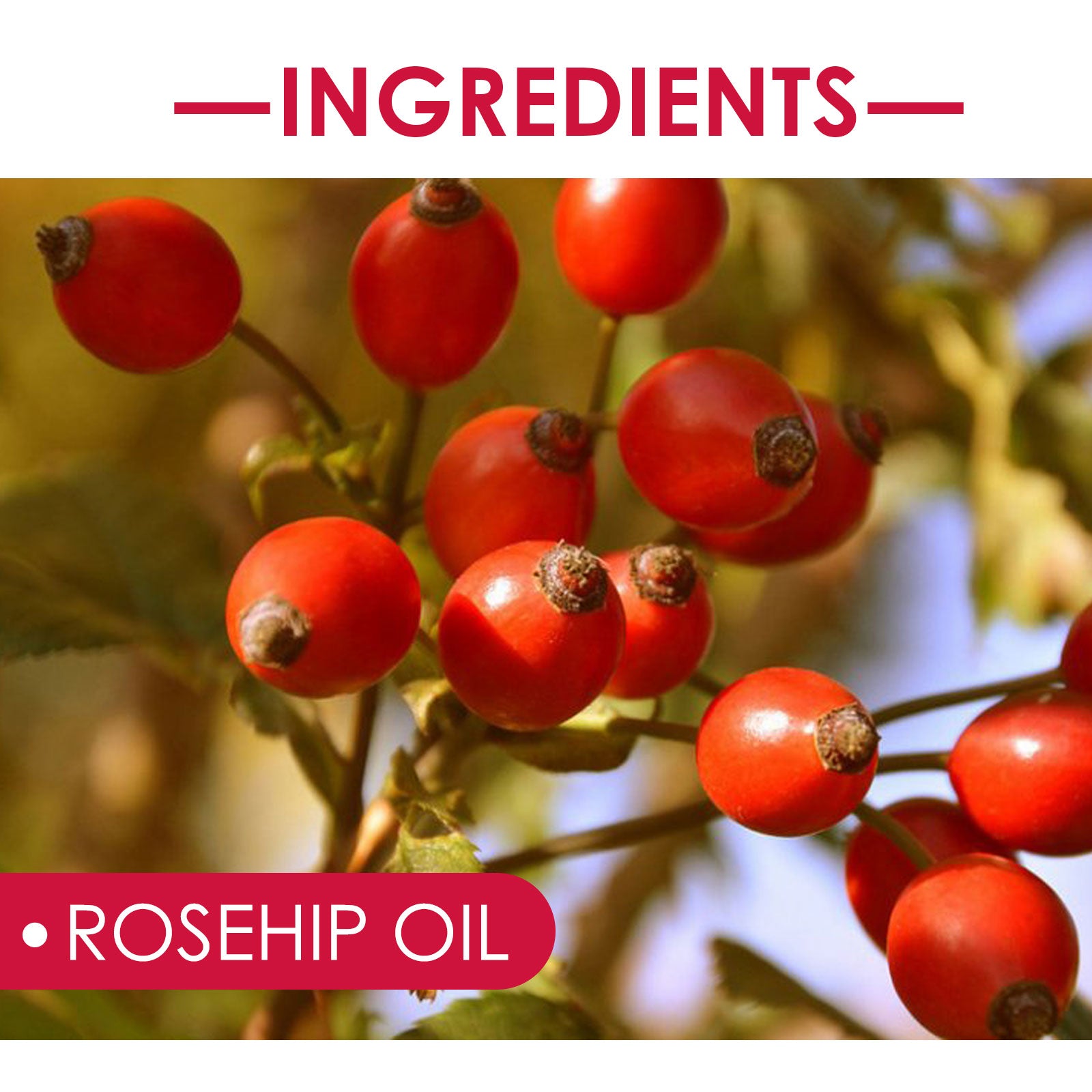 EELHOE Rosehip Facial & Body Oil