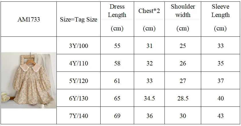 Girls' Lace Floral Princess Dress