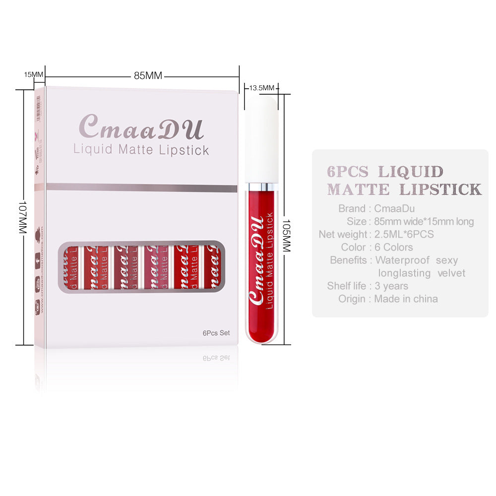 Matte Waterproof Long-Lasting Lip Gloss – Set of 6